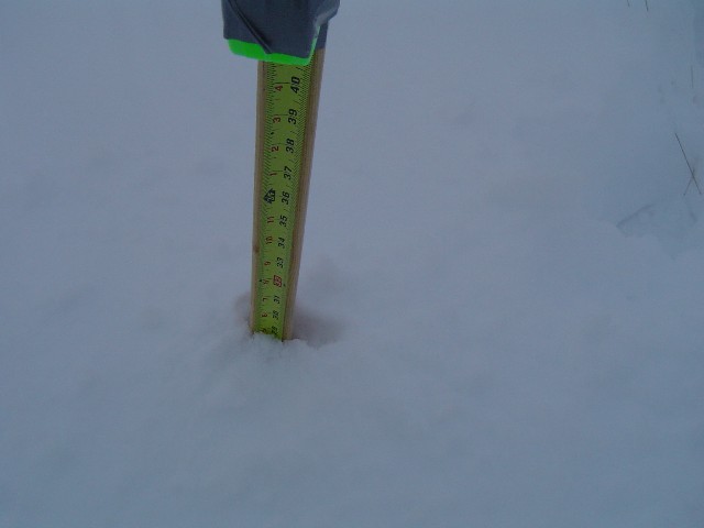 Fort Collins snow picture